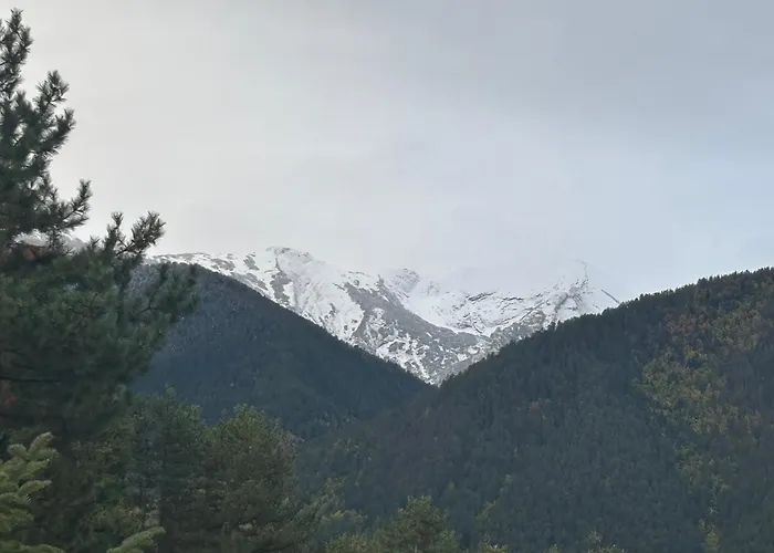 Emily Pirin Golf Apartment